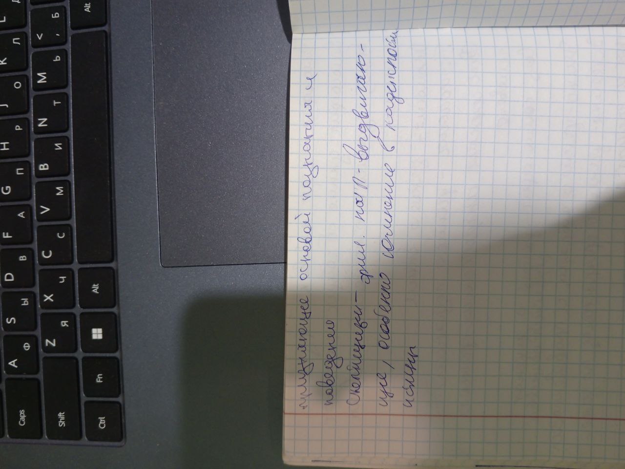 Attachment 5204009949427001859.jpg