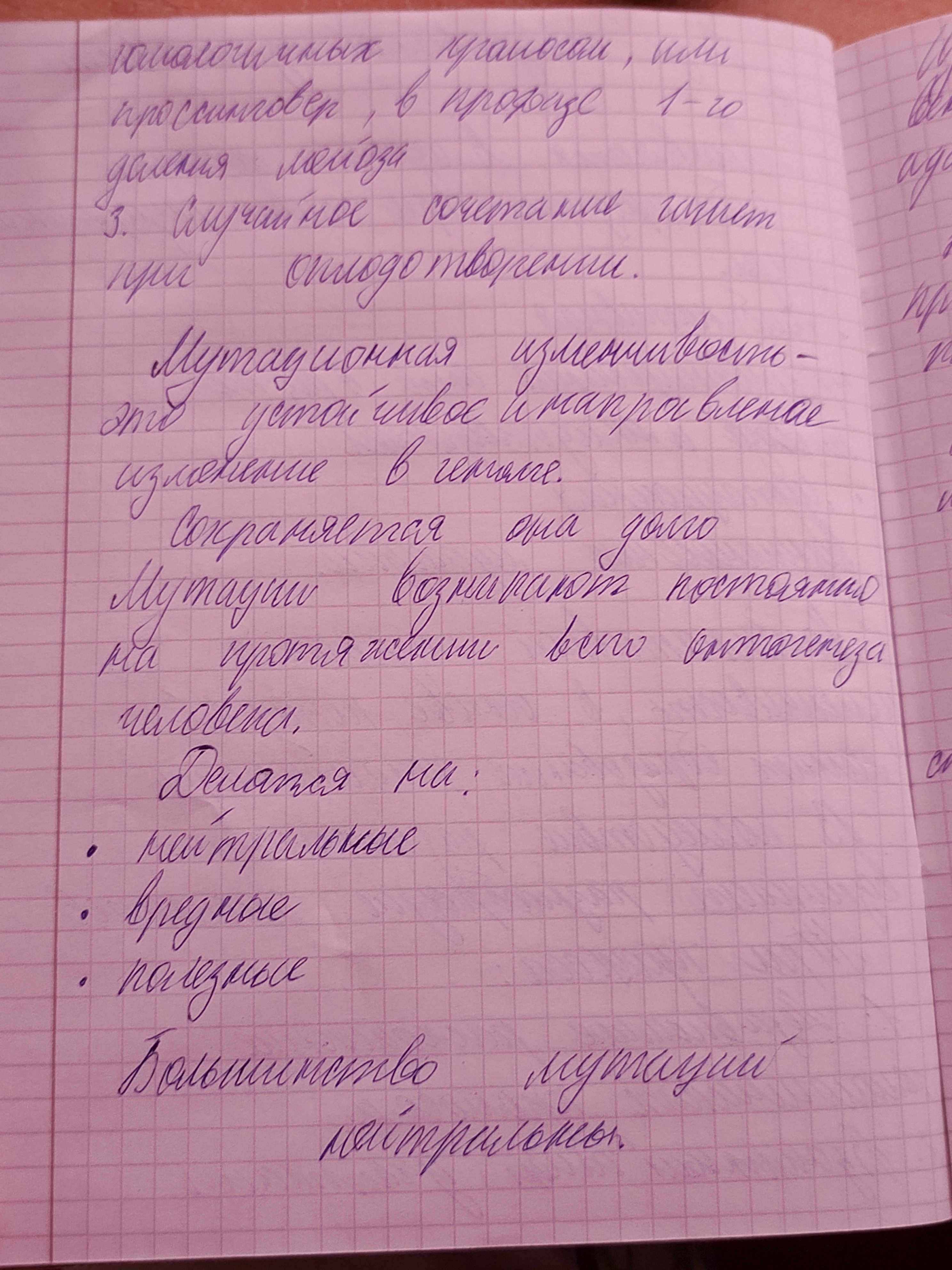 Attachment IMG_20250115_112736_419.jpg