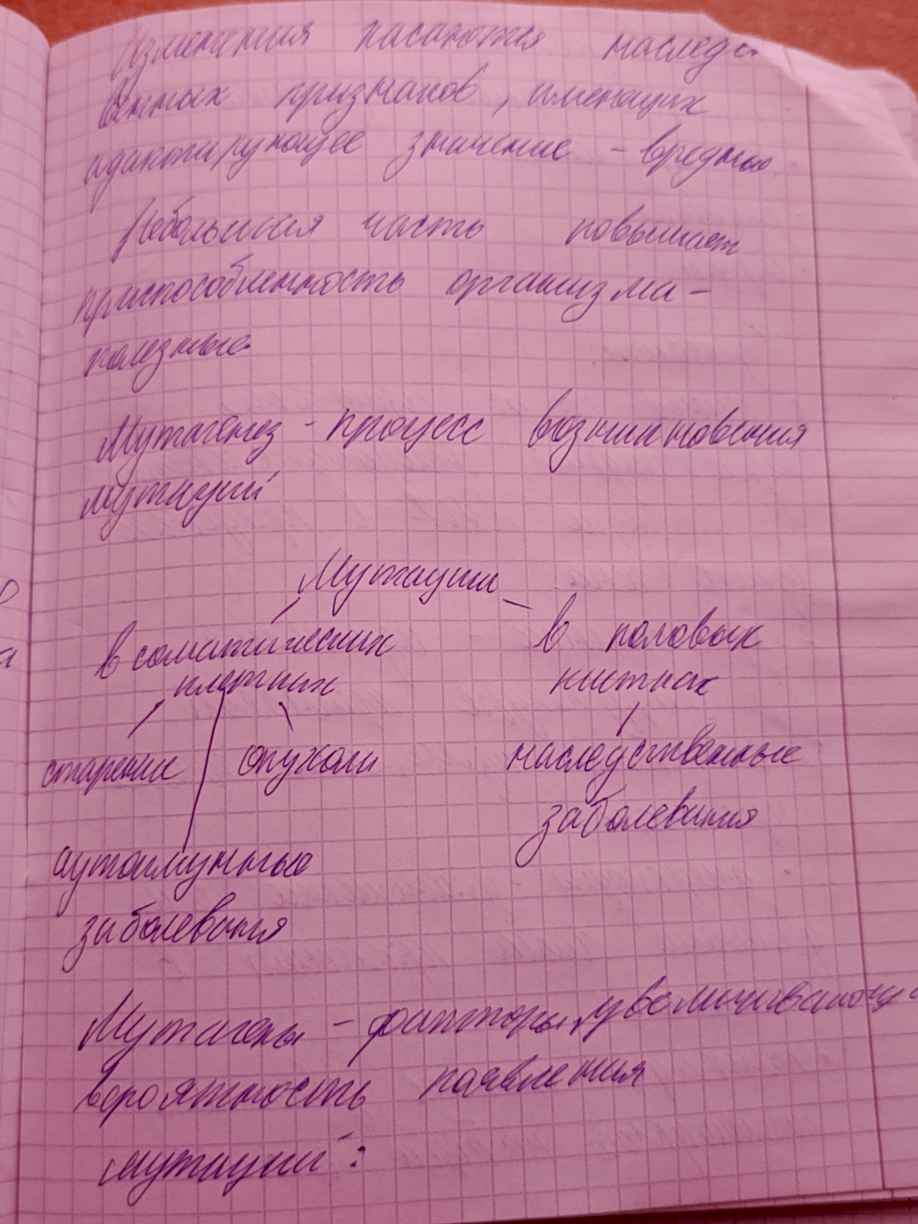 Attachment IMG_20250115_112743_756.jpg