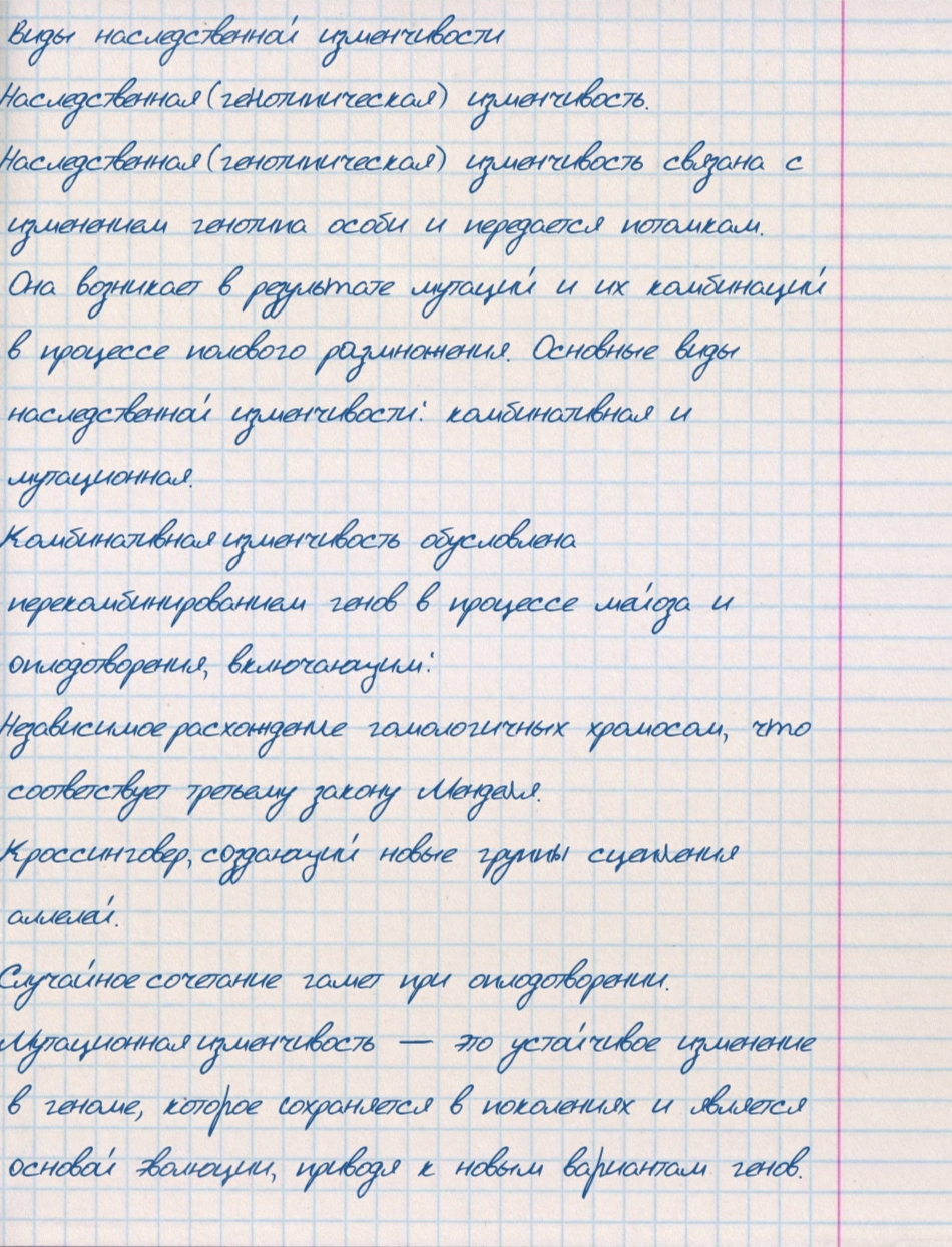Attachment IMG_20250115_120144.jpg