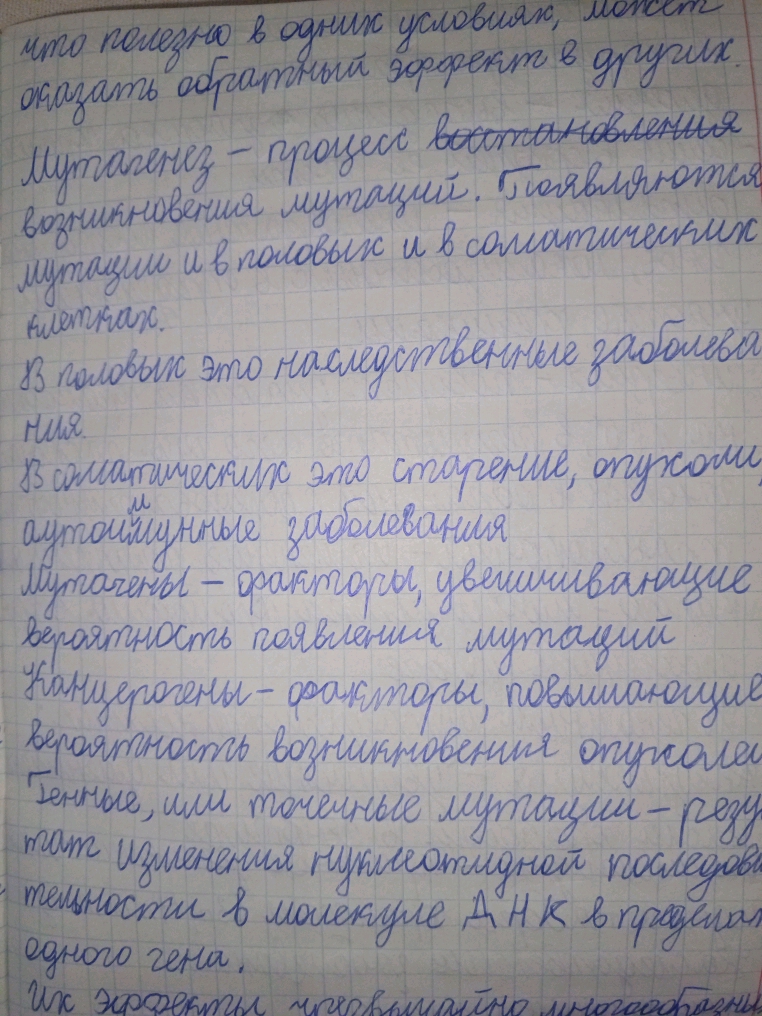 Attachment 1736931266329.jpg