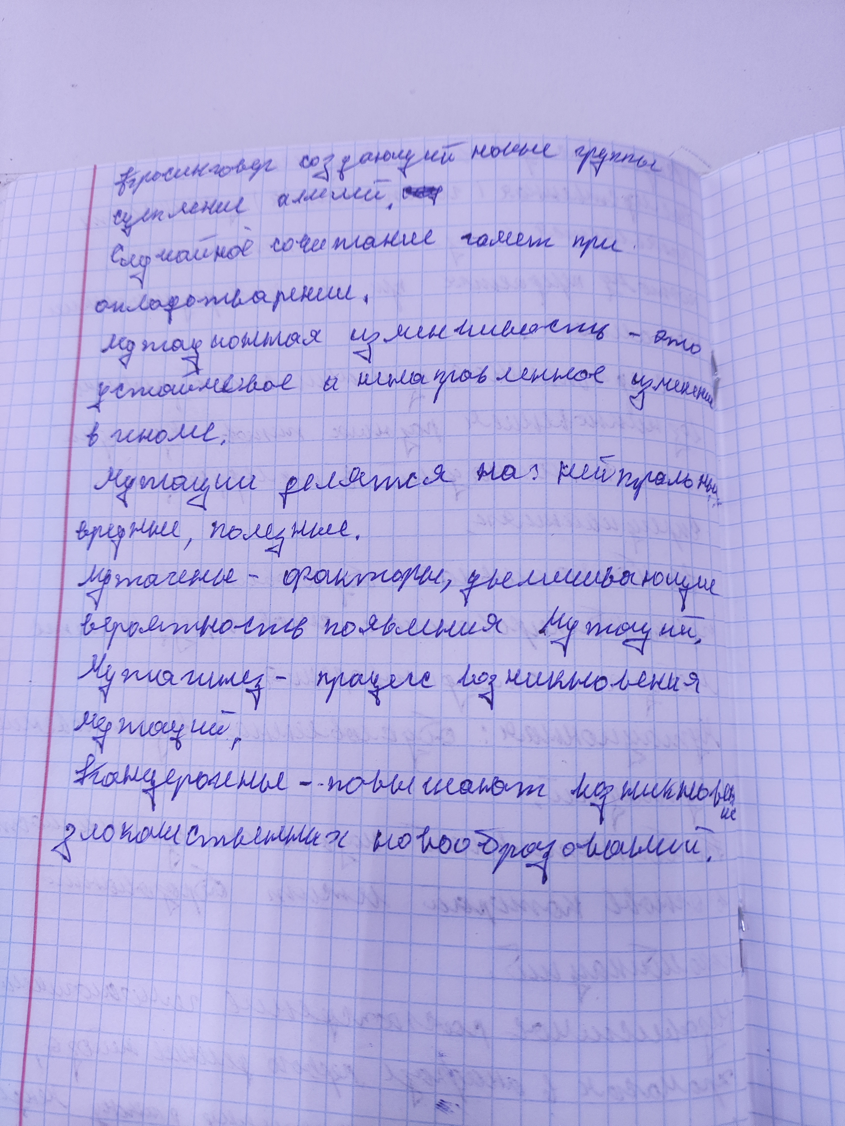 Attachment IMG_20250115_130214.jpg