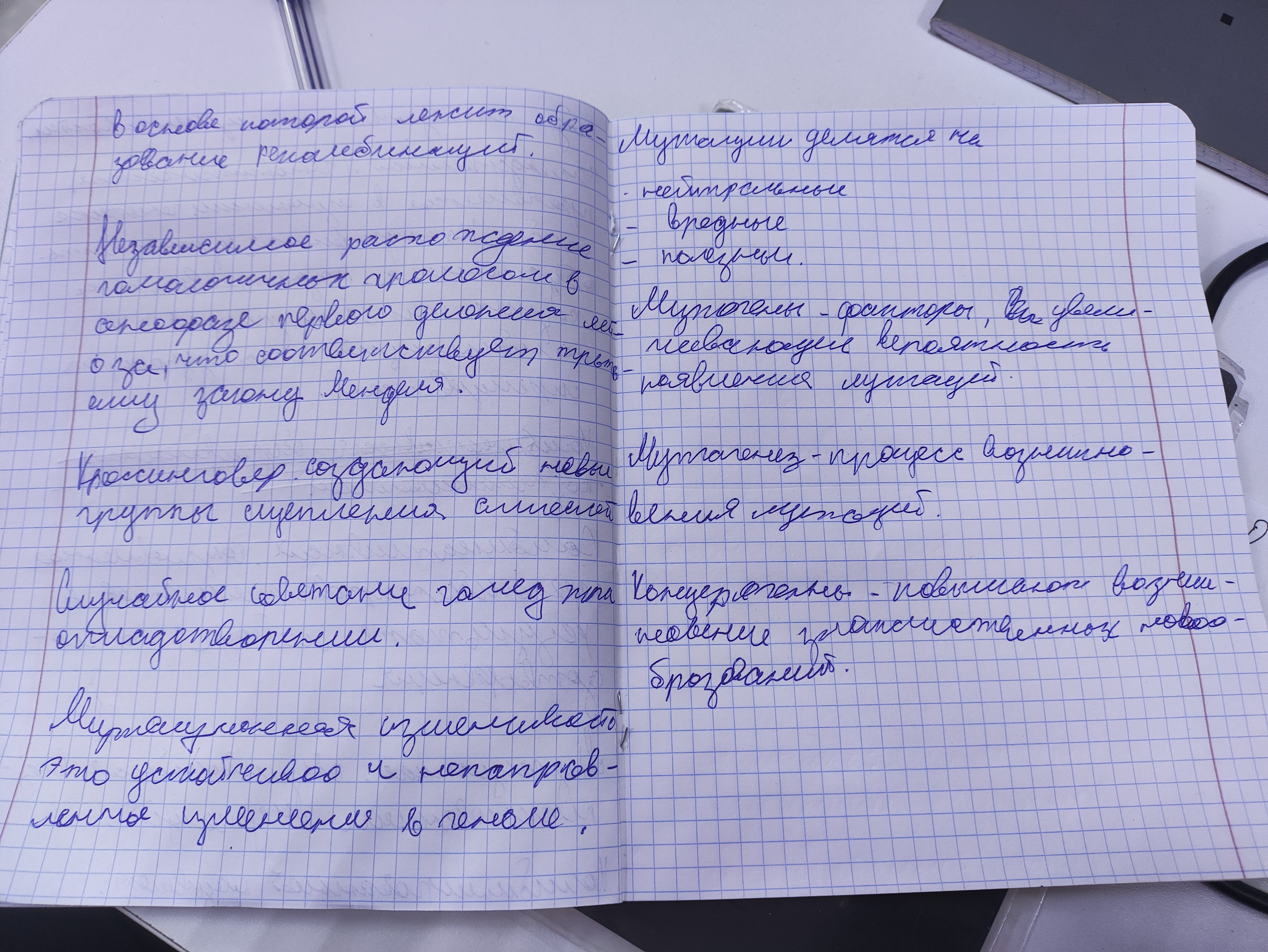 Attachment IMG_20250115_132906.jpg
