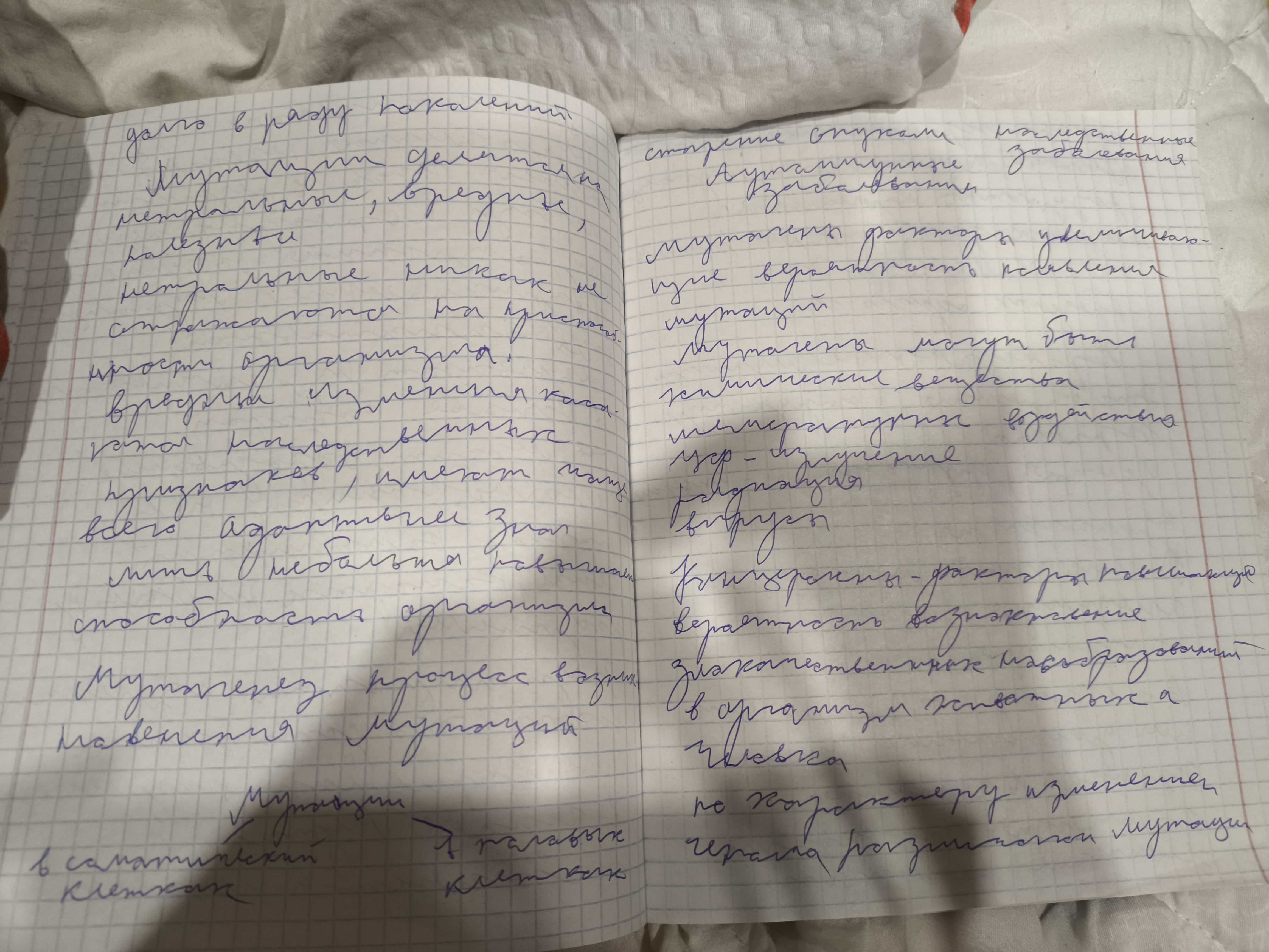 Attachment IMG_20250125_144723.jpg