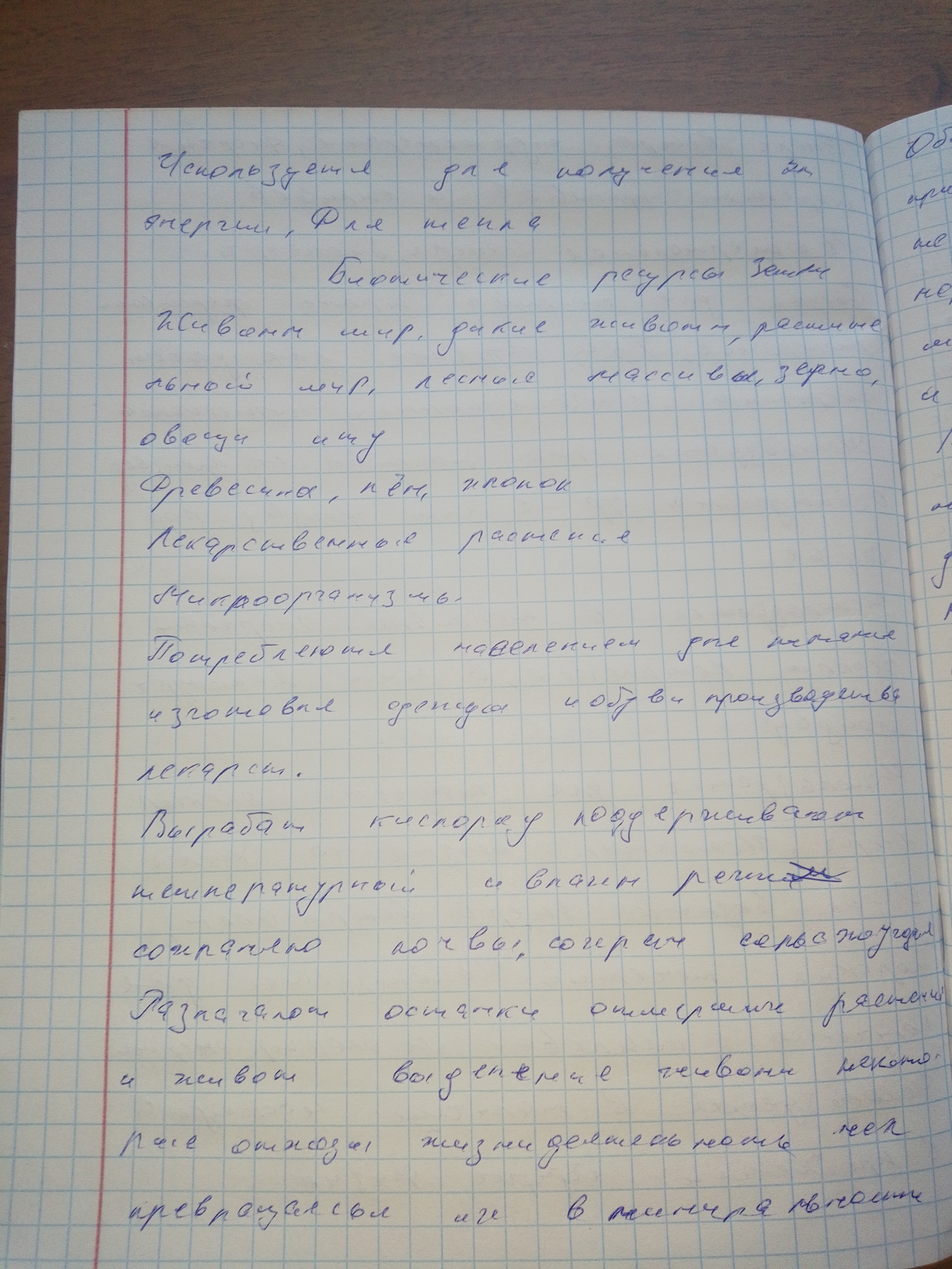 Attachment 17395264136926208996723560001031.jpg