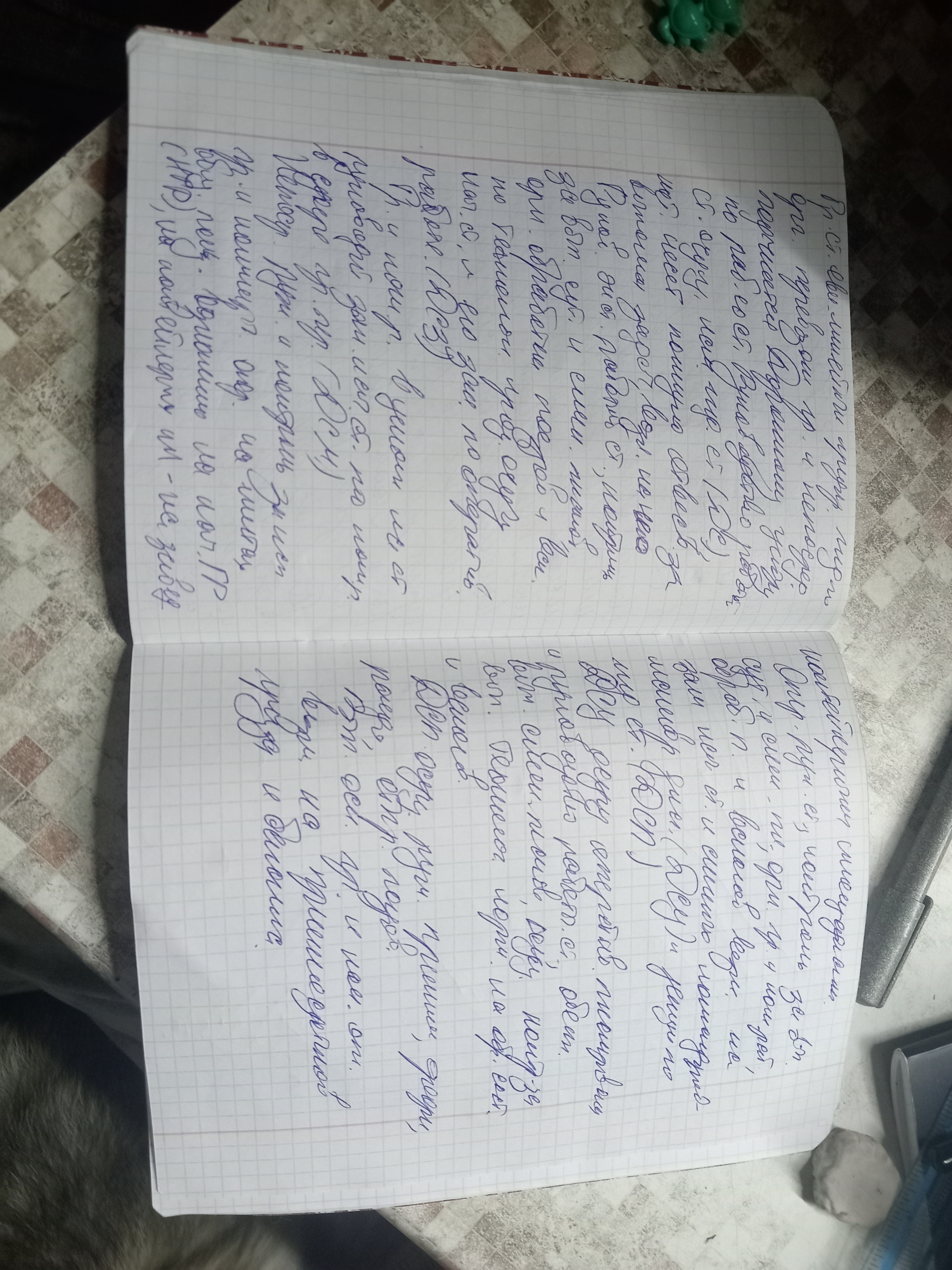 Attachment IMG_20250312_191245.jpg