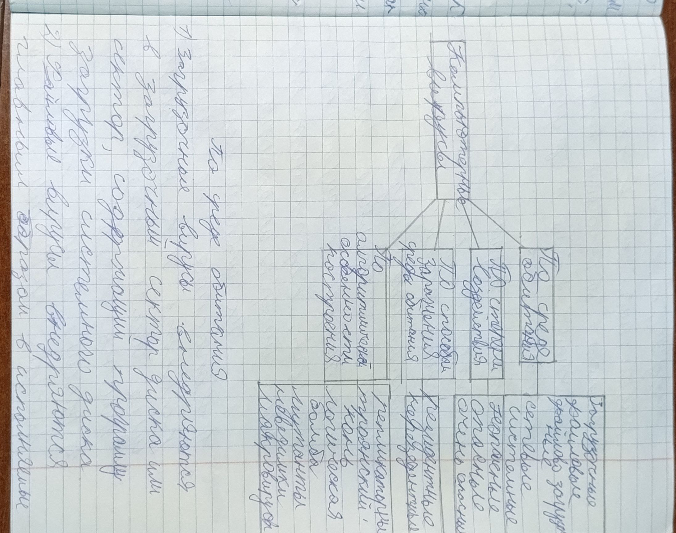 Attachment 5233220485863568021 (1).jpg