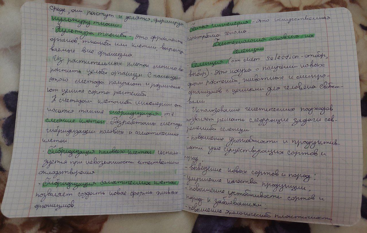 Attachment 2.jpg