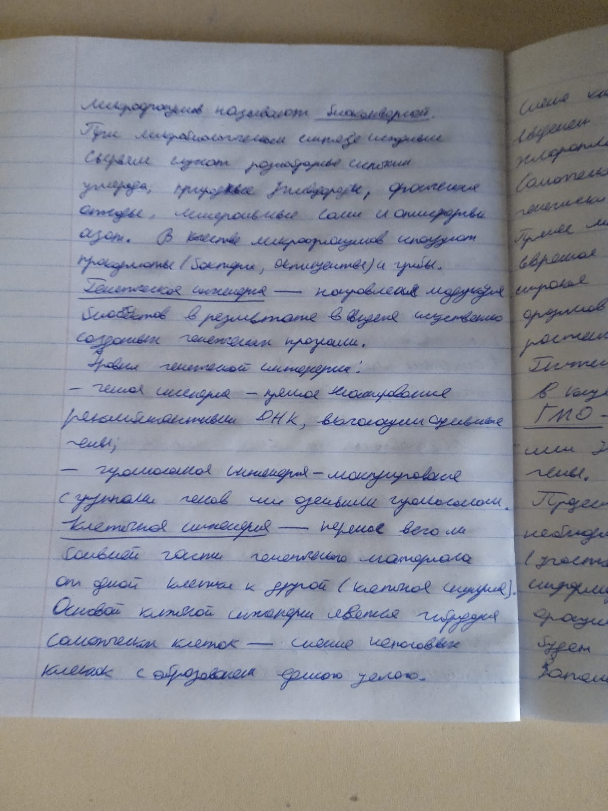 Attachment IMG-20250506-WA0003.jpg