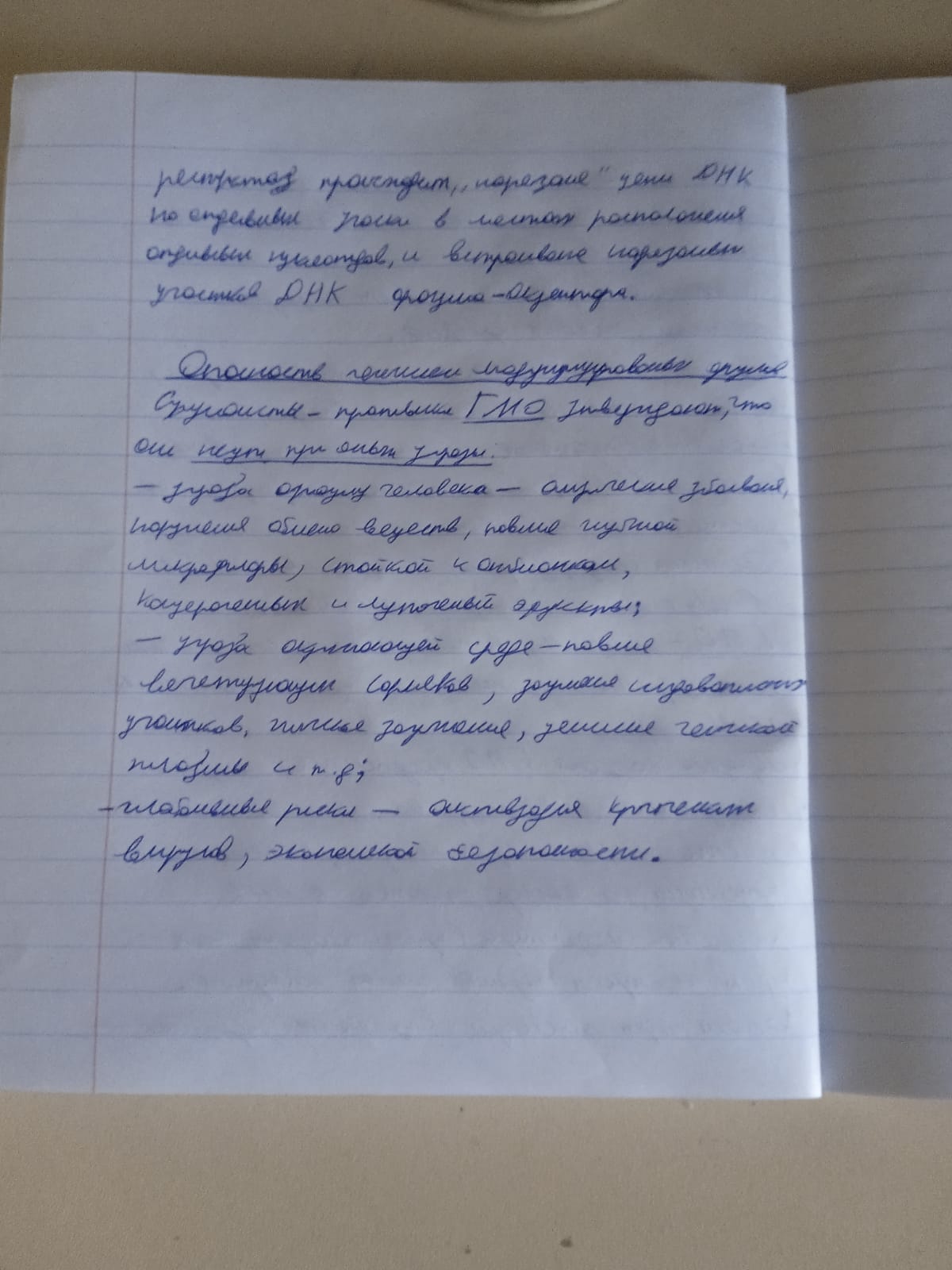 Attachment IMG-20250506-WA0005.jpg