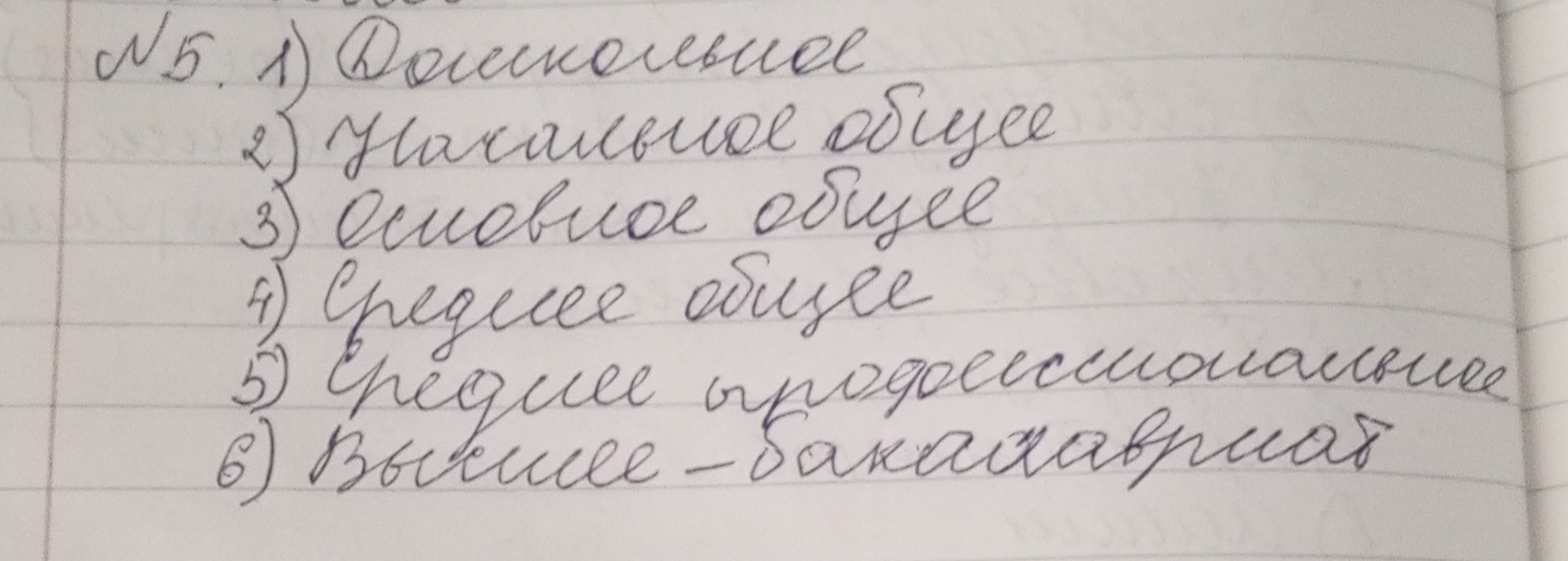 Attachment 1765869166030.jpg