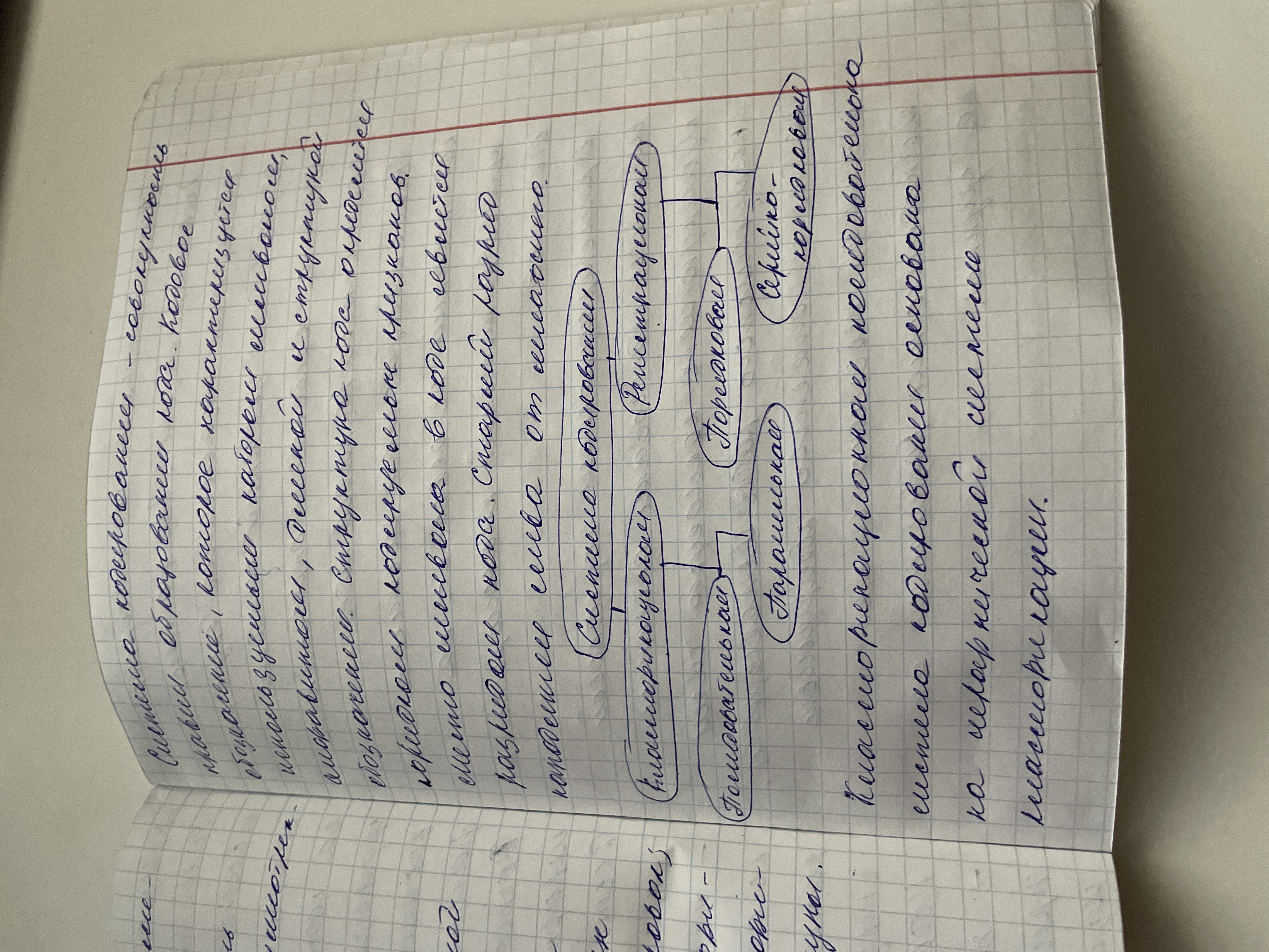Attachment image (7).jpg