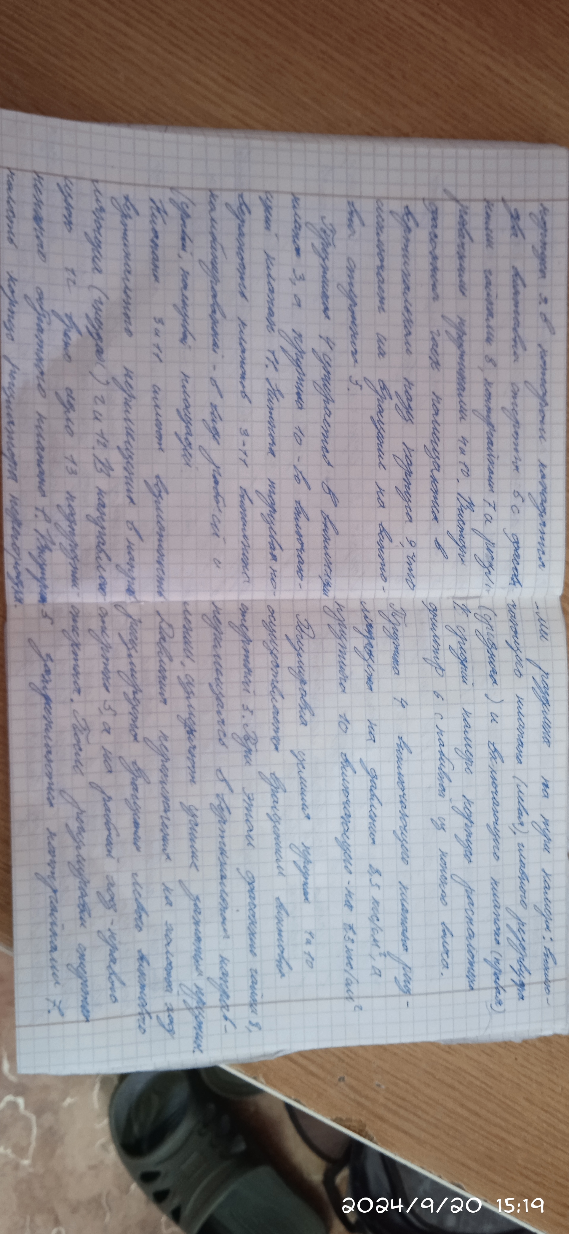 Attachment IMG_20240920_151944.jpg