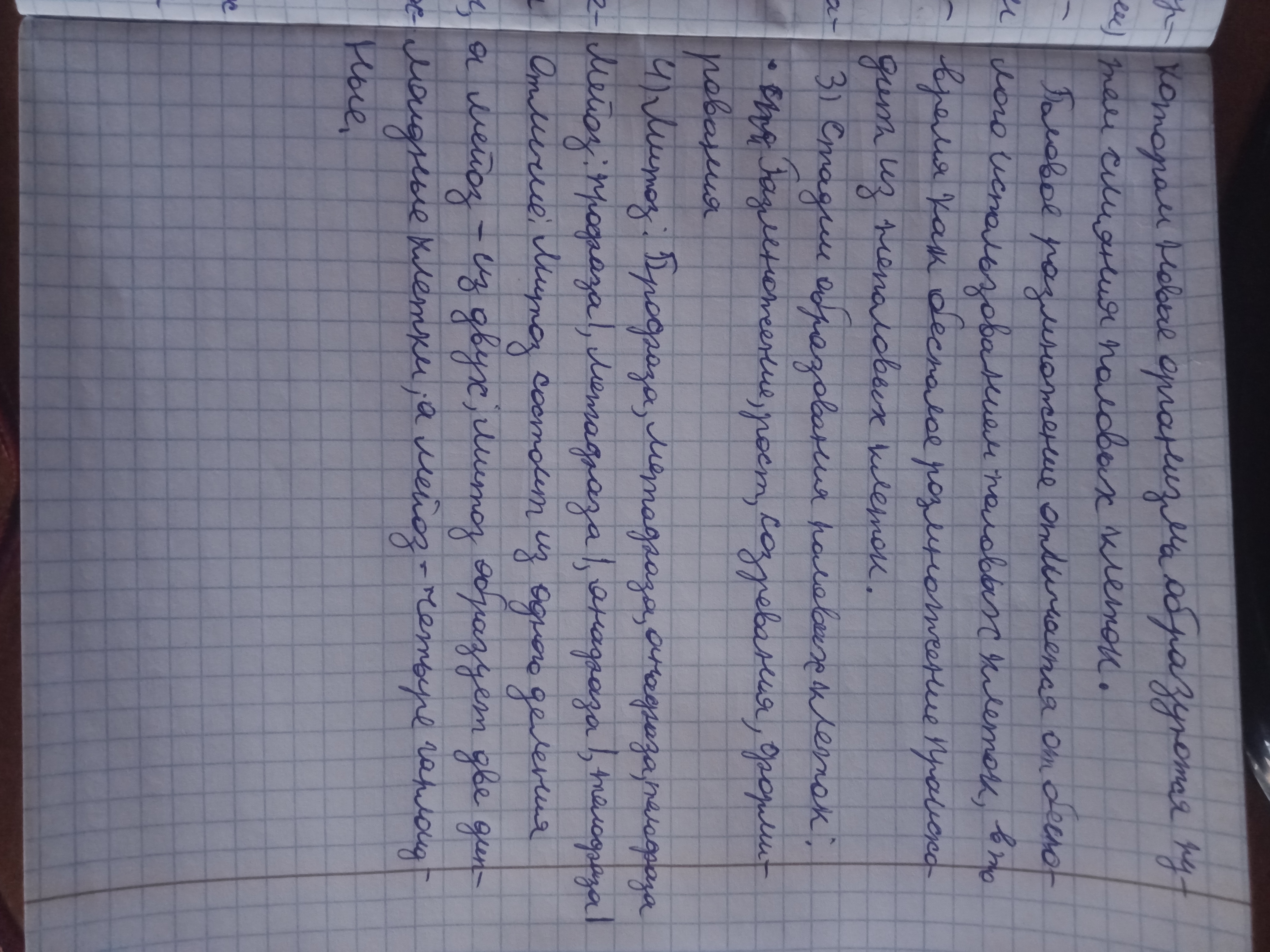 Attachment IMG20251103135125.jpg