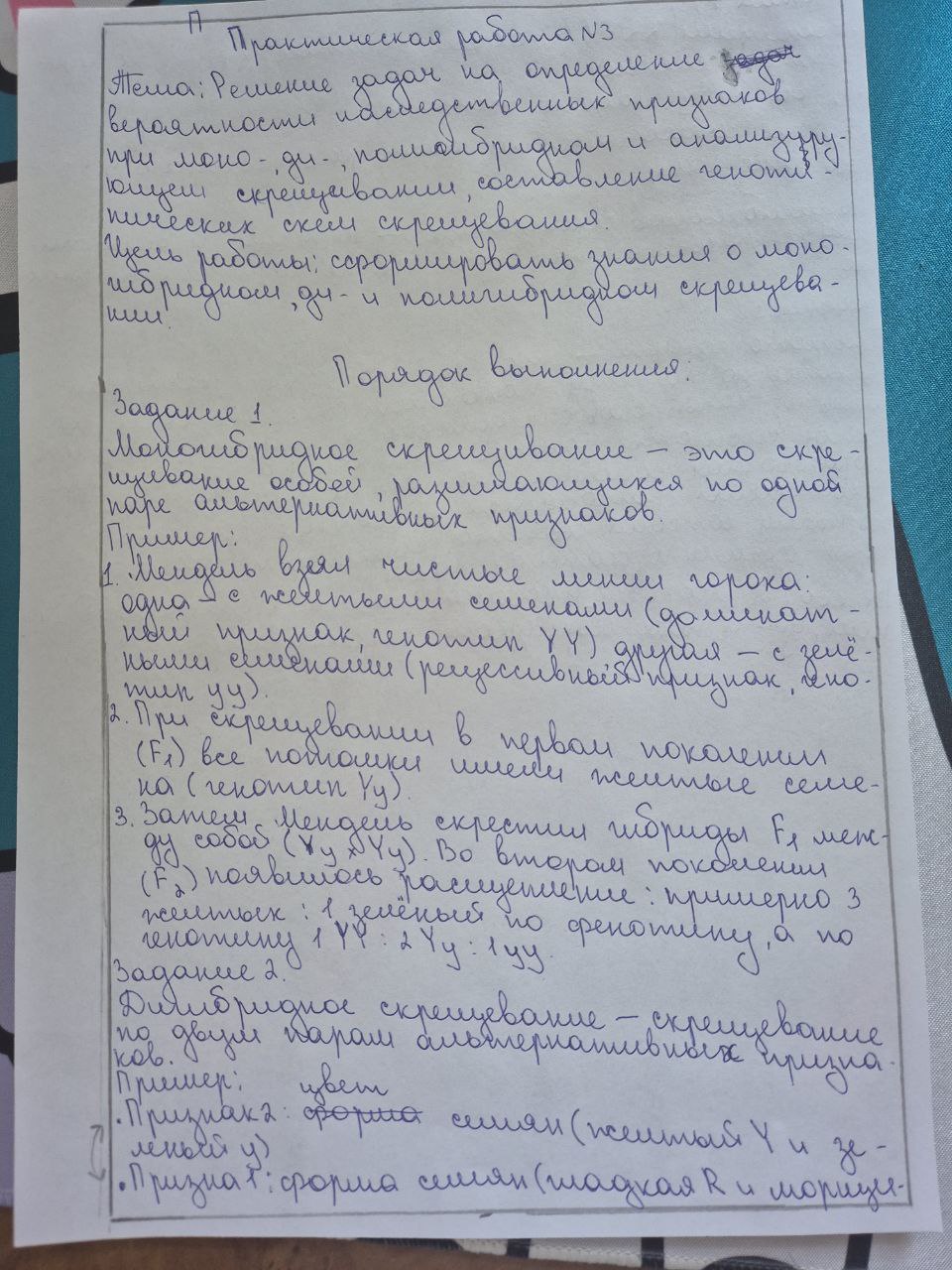 Attachment IMG_20251216_143009_459.jpg