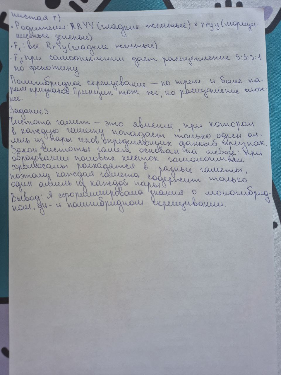Attachment IMG_20251216_143009_077.jpg