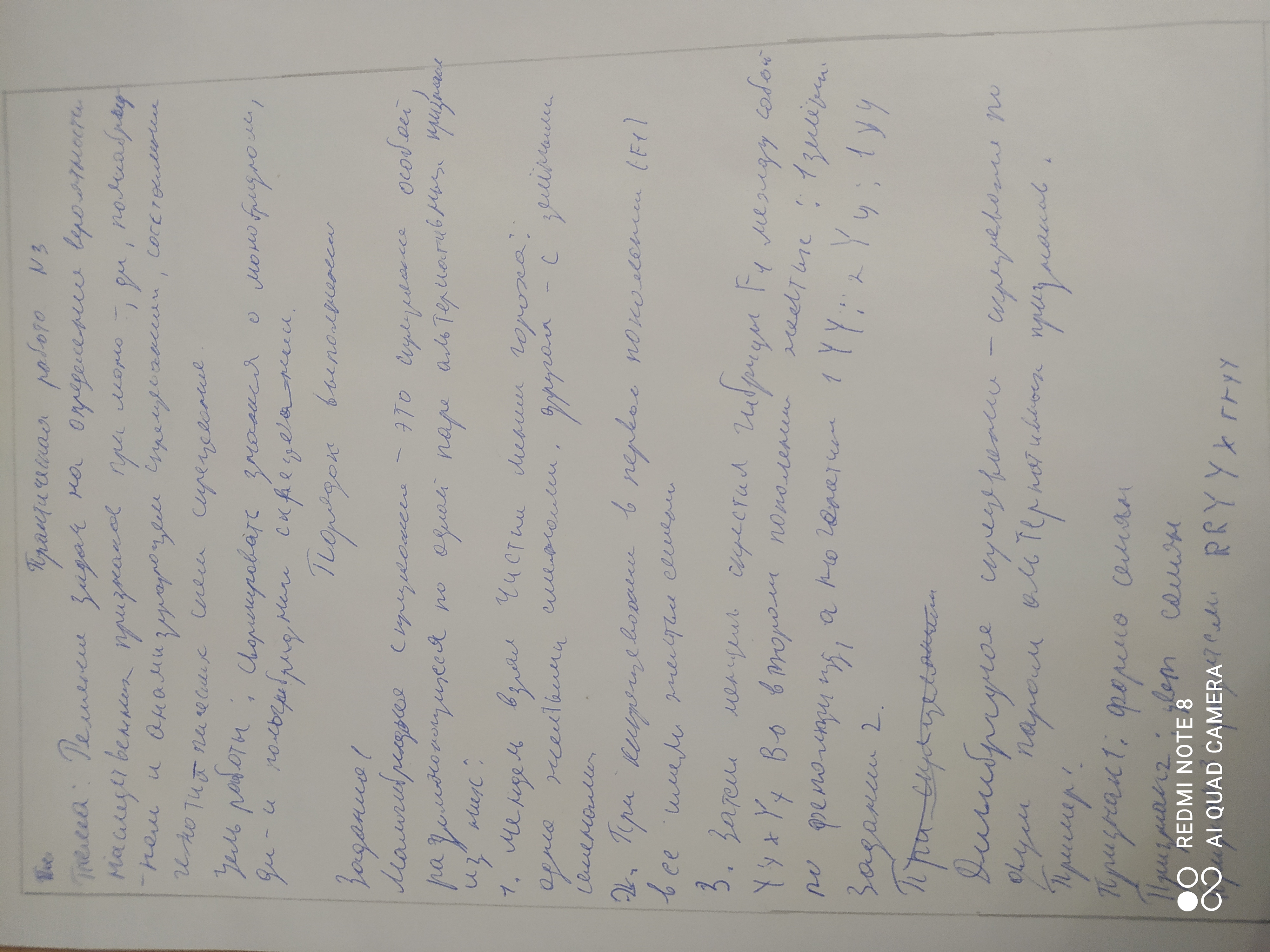 Attachment 1765918704830 (1).jpg