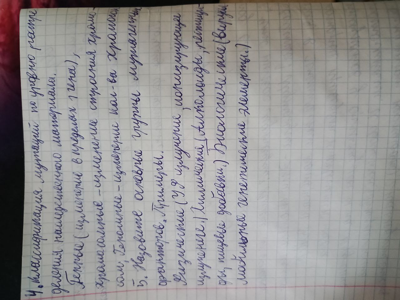 Attachment 444.jpg