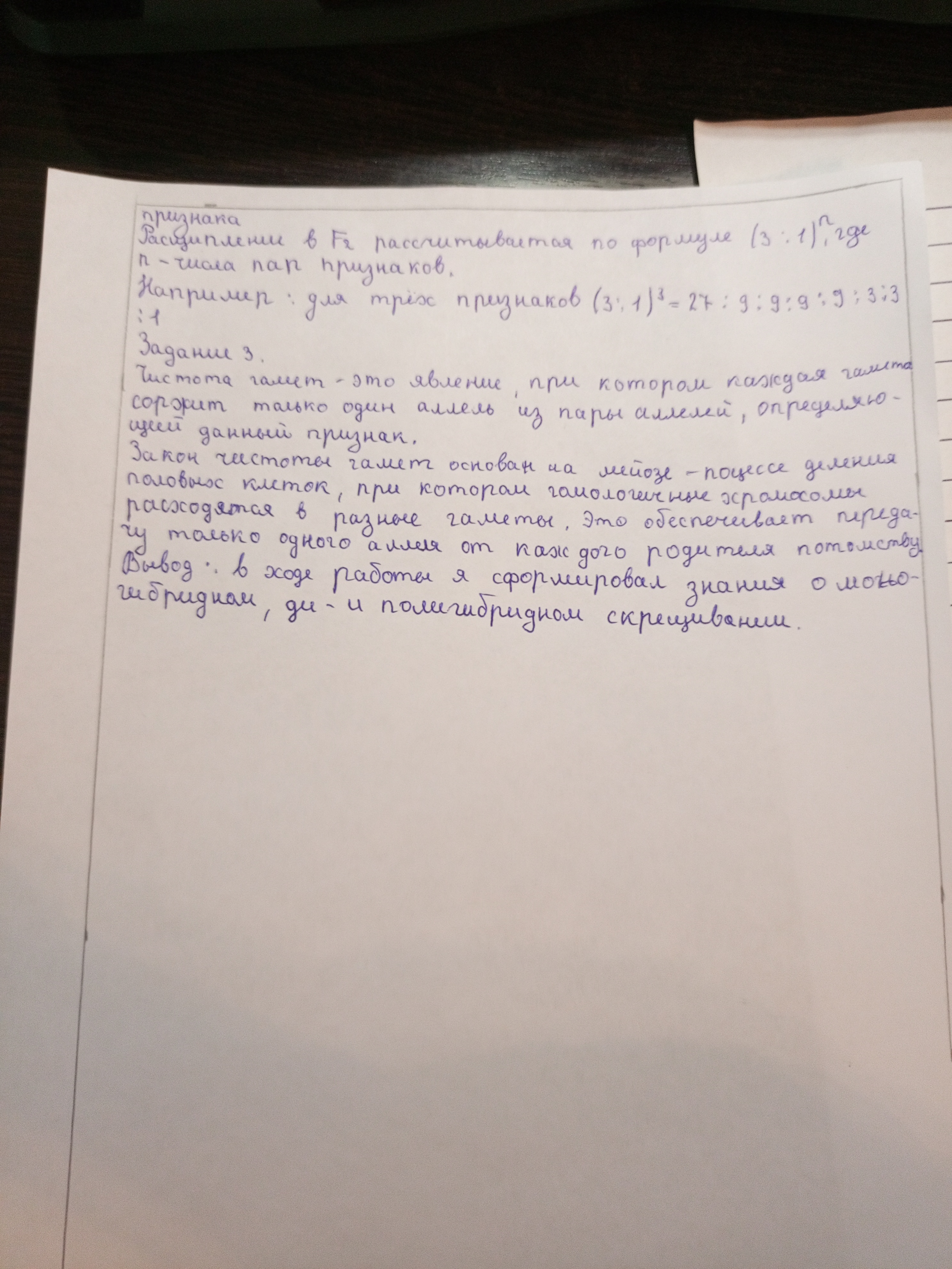 Attachment IMG_20251217_162651_986.jpg