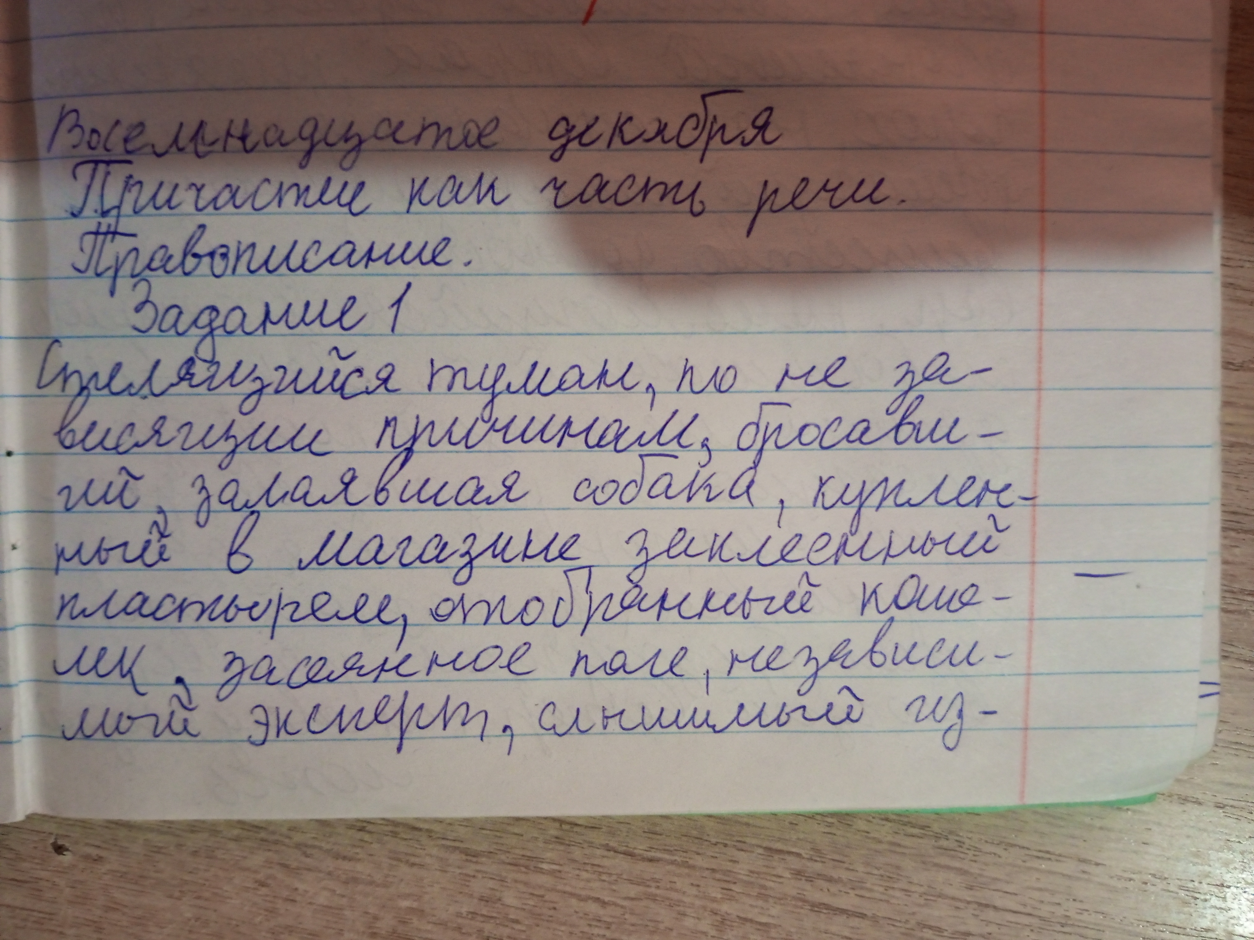 Attachment 1766038177254.jpg