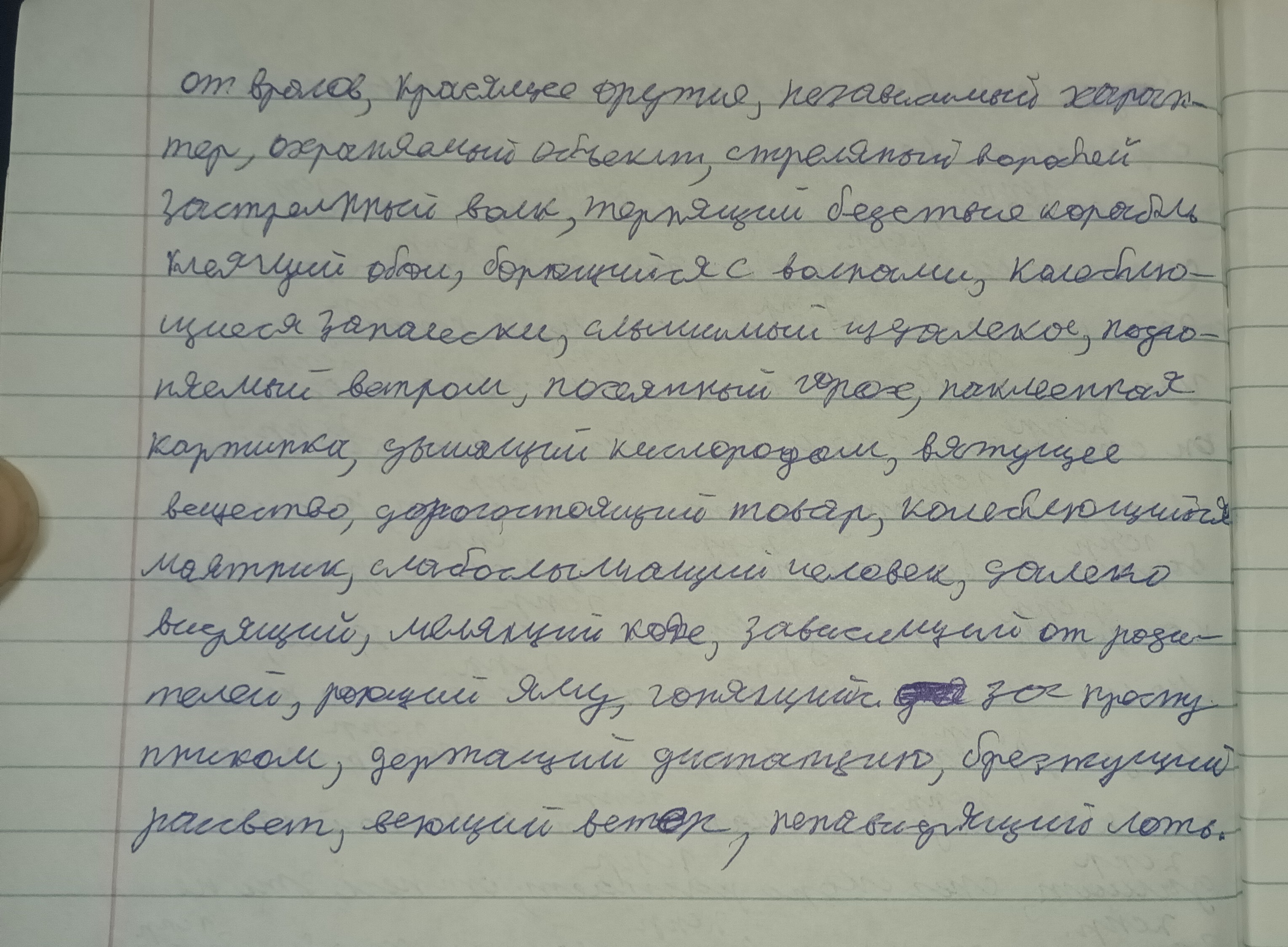 Attachment IMG_20251218_110716_081.jpg