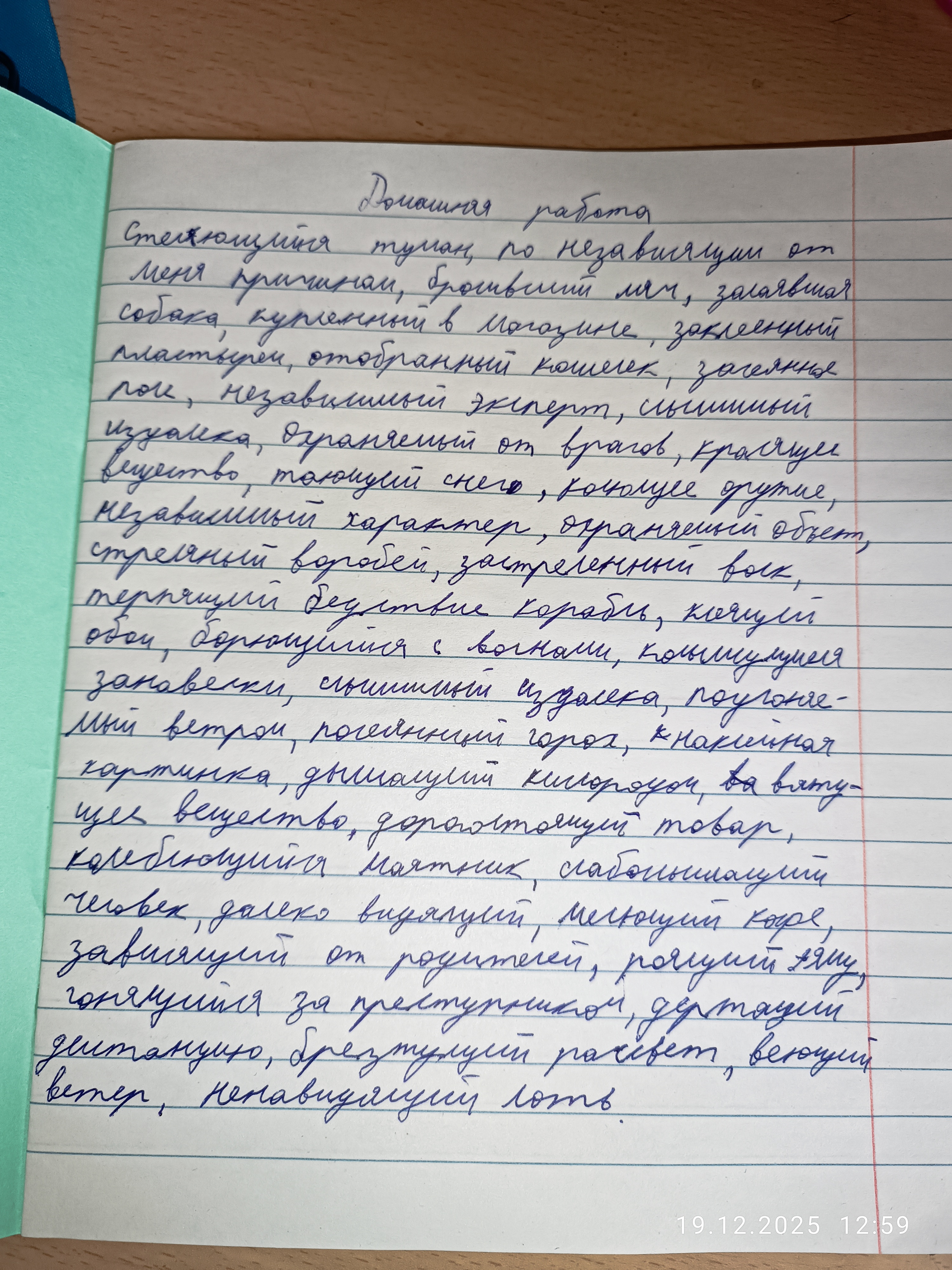 Attachment IMG_20251219_125900.jpg