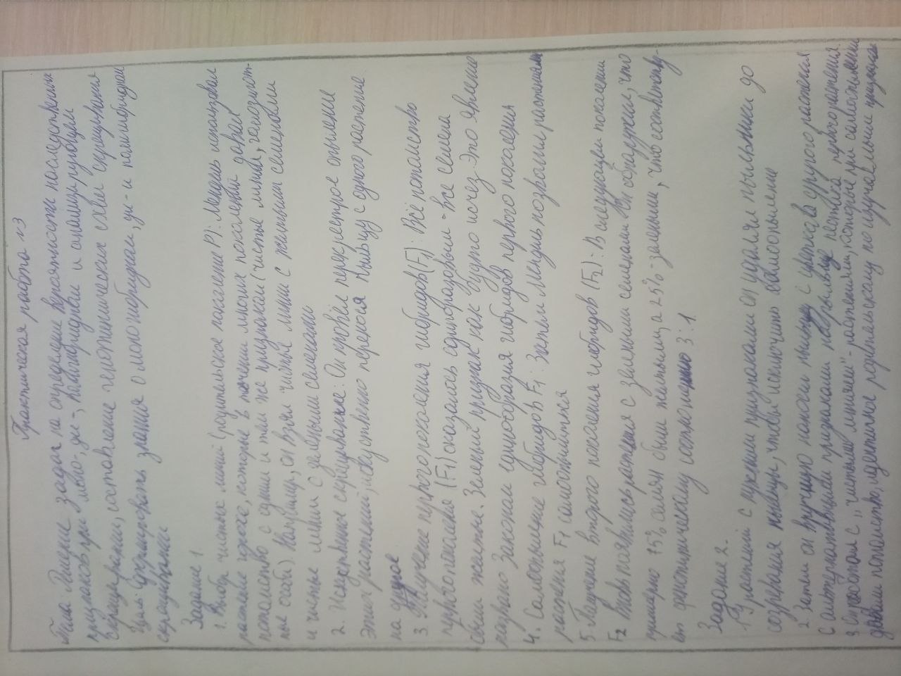 Тамарлаков Владимир Т-15В